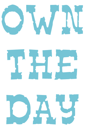 Own The Day logo